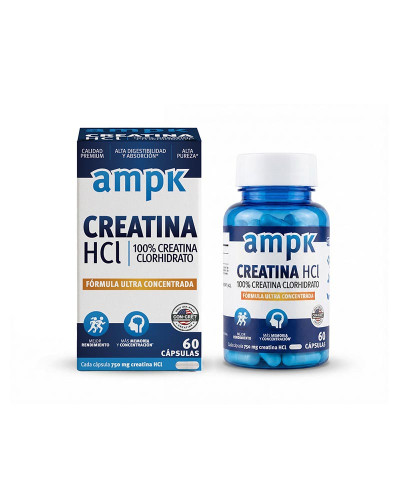 Ampk Creatina HCl